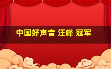 中国好声音 汪峰 冠军